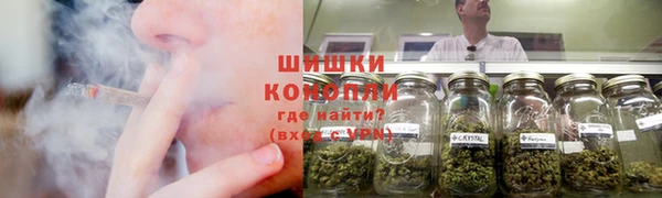 стафф Богородицк