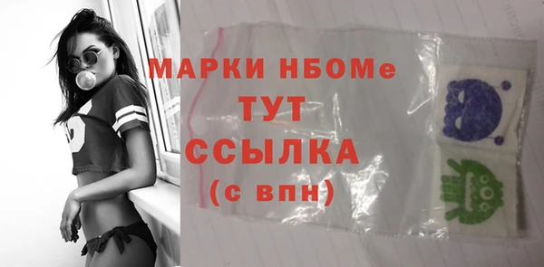 СК Бородино