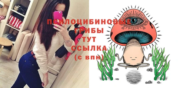 стафф Богородицк