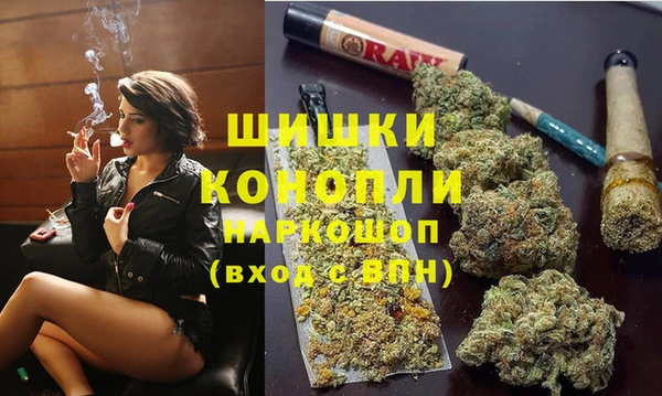 ешки Богданович