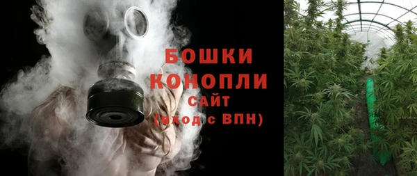 мдпв Кодинск