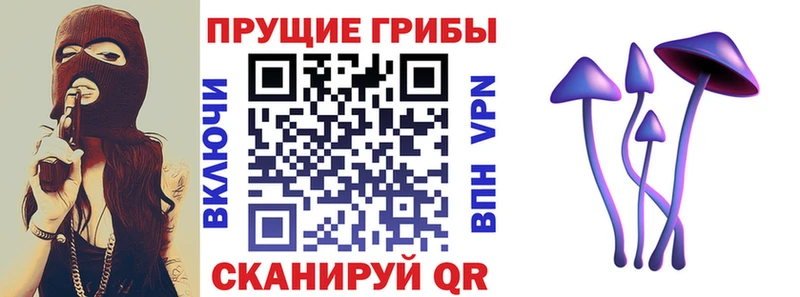 Галлюциногенные грибы GOLDEN TEACHER  продажа наркотиков  Клин 
